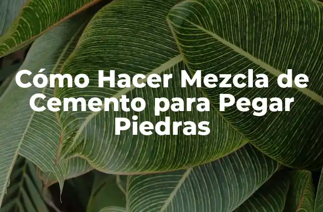 Cómo Hacer Mezcla de Cemento para Pegar Piedras