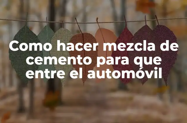 Como Hacer Mezcla de Cemento para que entre el Automóvil