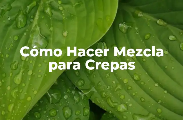 Cómo Hacer Mezcla para Crepas