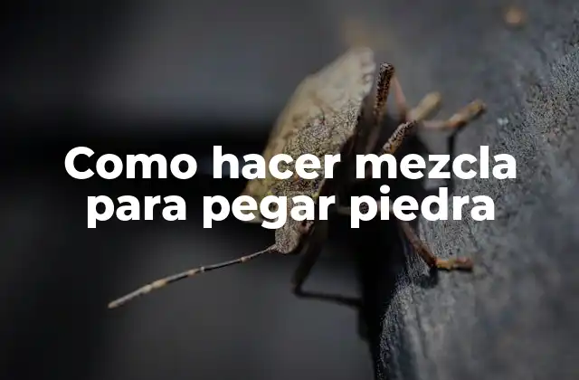 Como Hacer Mezcla para Pegar Piedra