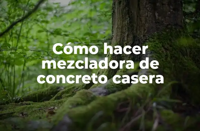 Cómo Hacer Mezcladora de Concreto Casera