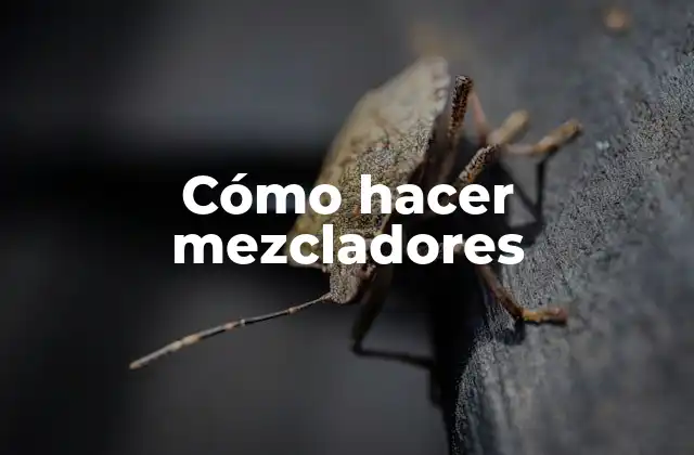 Cómo Hacer Mezcladores