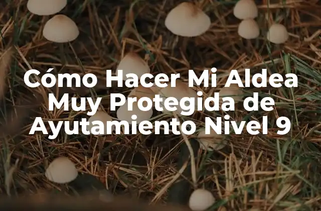 Cómo Hacer Mi Aldea Muy Protegida de Ayutamiento Nivel 9