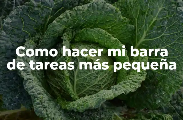 Como Hacer Mi Barra de Tareas Más Pequeña