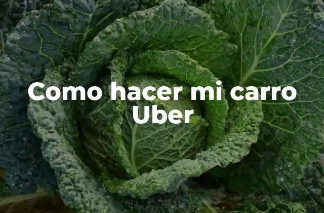 Como Hacer Mi Carro Uber