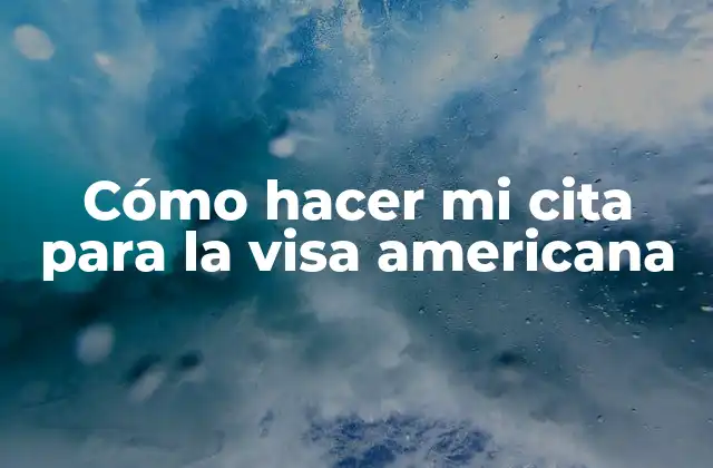 Cómo Hacer Mi Cita para la Visa Americana