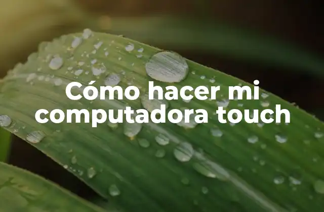 Cómo hacer mi computadora touch
