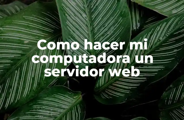 Como Hacer Mi Computadora un Servidor Web