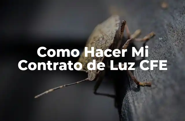 ¿Qué es un Contrato de Luz CFE?