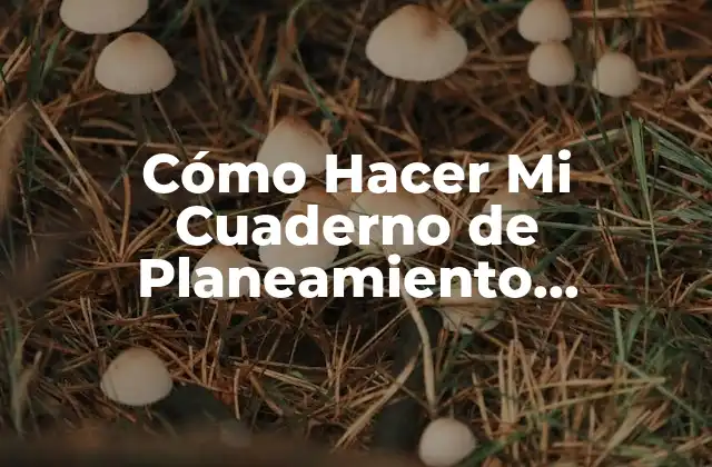 Cómo Hacer Mi Cuaderno de Planeamiento Preescolar 2 ¿Qué es un Cuaderno de Planeamiento Preescolar y Para Qué Sirve?