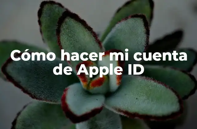 ¿Qué es una cuenta de Apple ID?