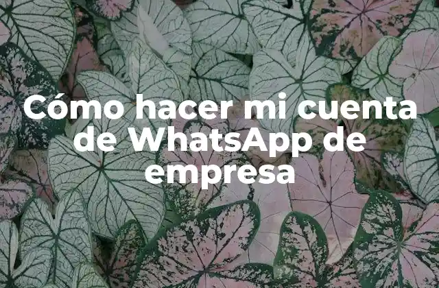 Cómo Hacer Mi Cuenta de Whatsapp de Empresa