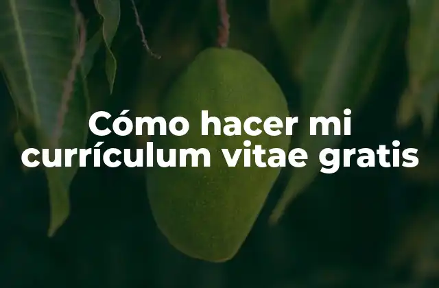 Cómo Hacer Mi Currículum Vitae Gratis 2 Currículum vitae
