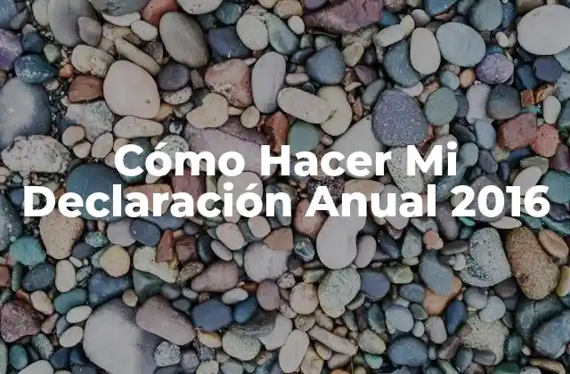 Cómo Hacer Mi Declaración Anual 2016