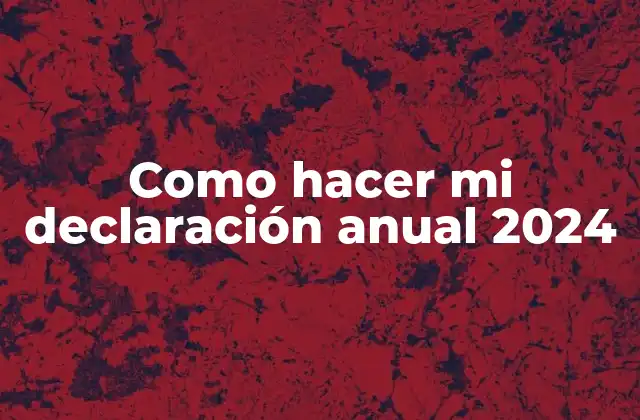 Como Hacer Mi Declaración Anual 2024