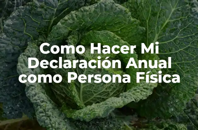 ¿Qué es una Declaración Anual como Persona Física?