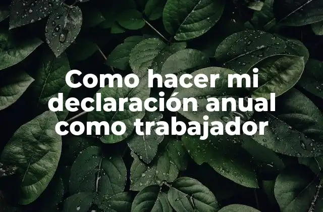 ¿Qué es la declaración anual de impuestos como trabajador?