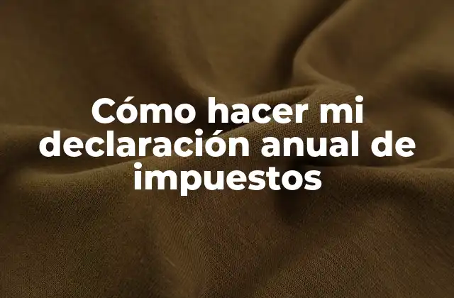 Cómo Hacer Mi Declaración Anual de Impuestos