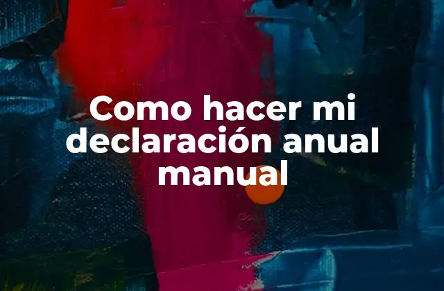 Como Hacer Mi Declaración Anual Manual