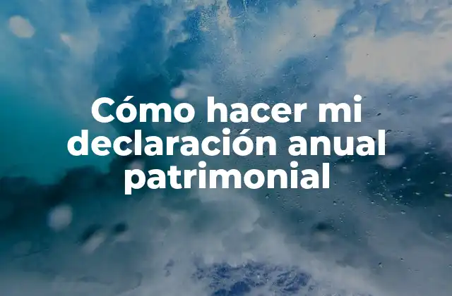 Cómo Hacer Mi Declaración Anual Patrimonial