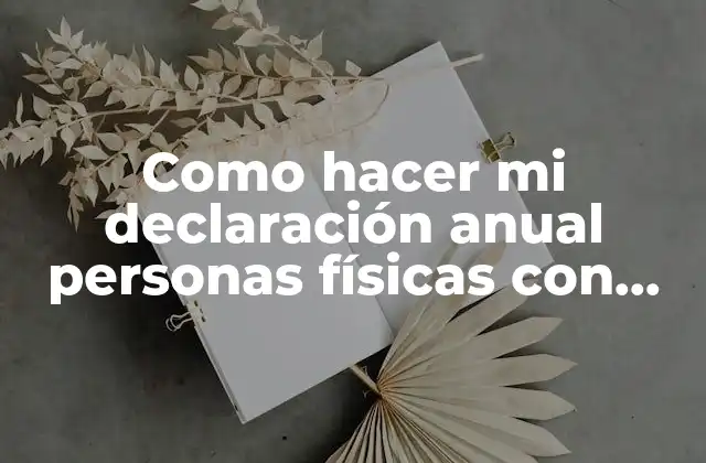 Como Hacer Mi Declaración Anual Personas Físicas con Actividad Empresarial