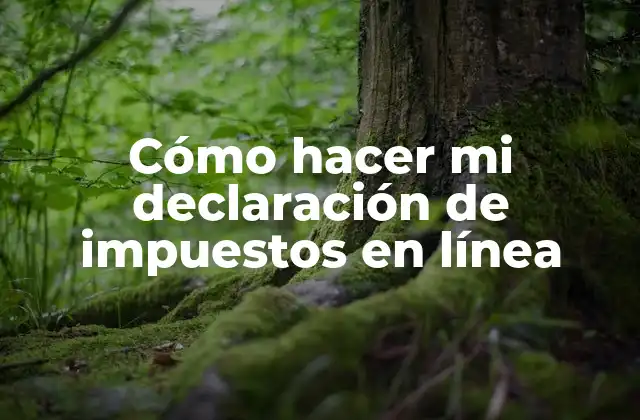 Cómo Hacer Mi Declaración de Impuestos en Línea