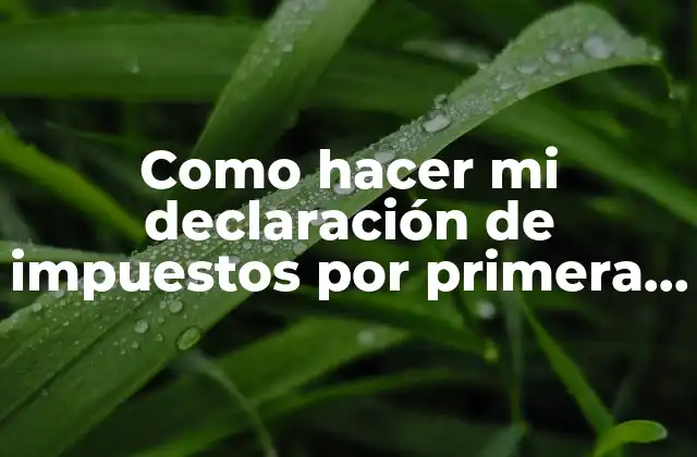 Como Hacer Mi Declaración de Impuestos por Primera Vez