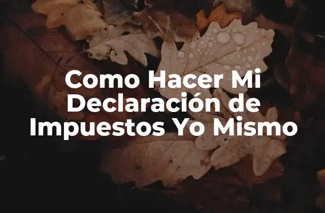Como Hacer Mi Declaración de Impuestos Yo Mismo