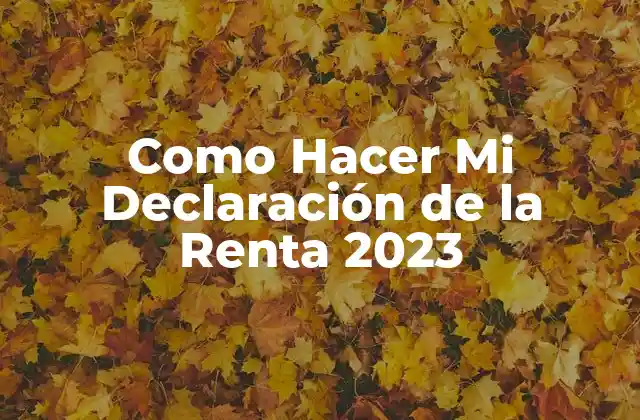 Como Hacer Mi Declaración de la Renta 2023 2 ¿Qué es la Declaración de la Renta y para Qué Sirve?