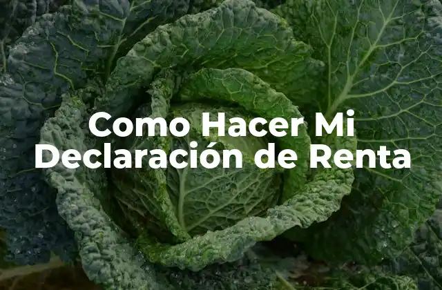 Como Hacer Mi Declaración de Renta