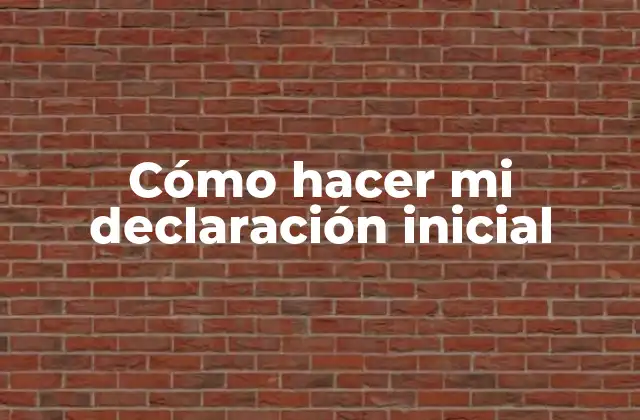 Cómo Hacer Mi Declaración Inicial