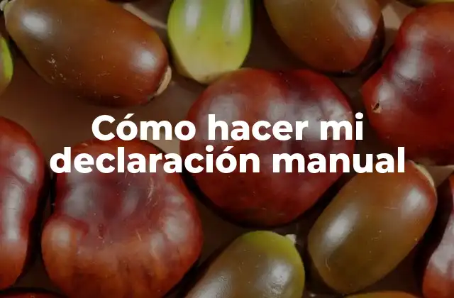 Cómo Hacer Mi Declaración Manual