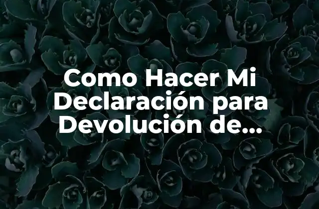 Como Hacer Mi Declaración para Devolución de Impuestos 2 ¿Qué es una Declaración de Impuestos y para Qué Sirve?