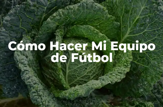 Cómo Hacer Mi Equipo de Fútbol