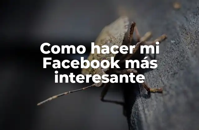 Como Hacer Mi Facebook Más Interesante