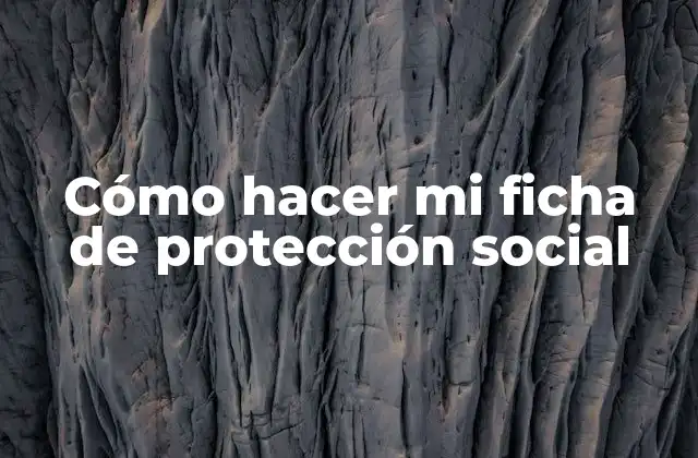 Cómo Hacer Mi Ficha de Protección Social