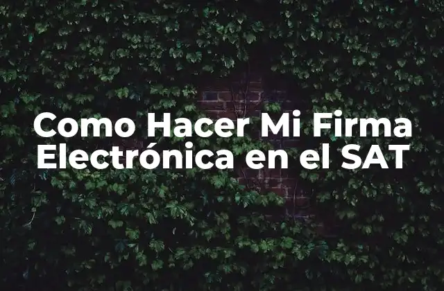 Como Hacer Mi Firma Electrónica en el Sat
