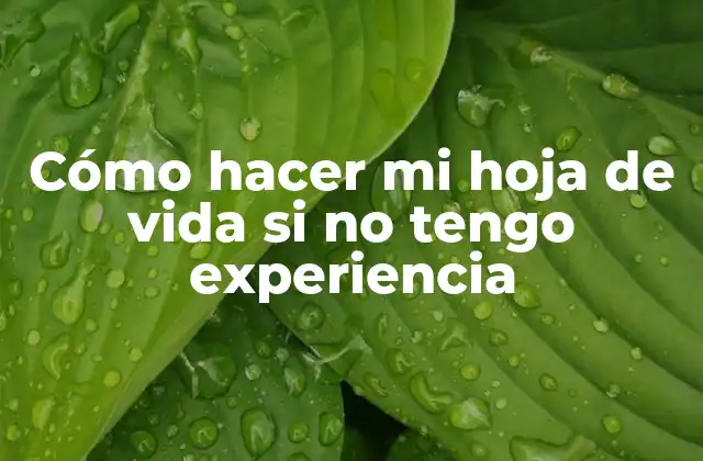Cómo Hacer Mi Hoja de Vida Si No Tengo Experiencia