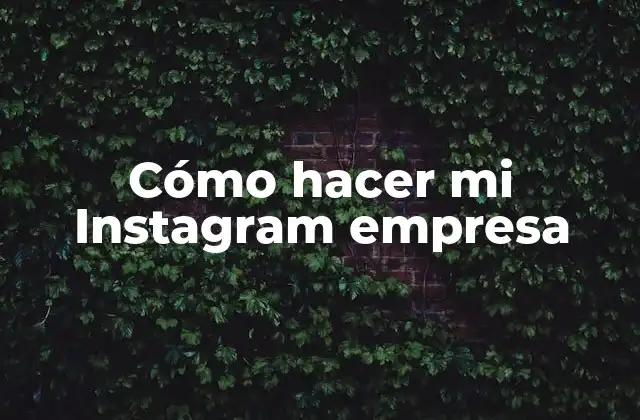 Cómo Hacer Mi Instagram Empresa