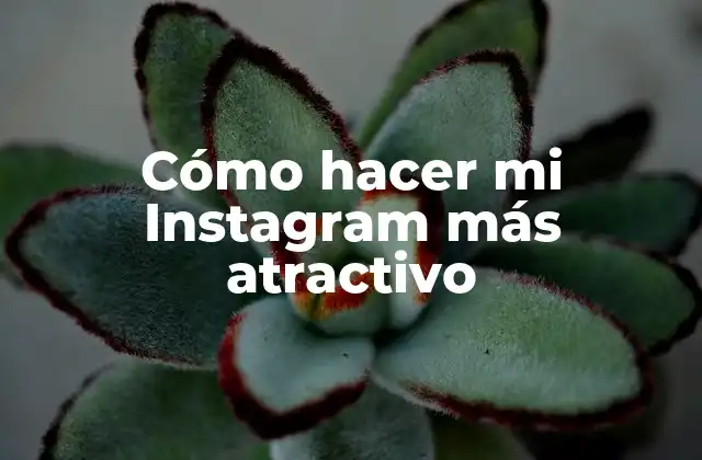 Cómo Hacer Mi Instagram Más Atractivo