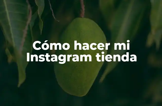 Cómo Hacer Mi Instagram Tienda 2 ¿Qué es una tienda en Instagram y cómo funciona?