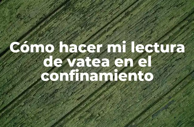 Cómo Hacer Mi Lectura de Vatea en el Confinamiento