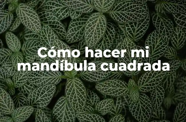 Cómo Hacer Mi Mandíbula Cuadrada