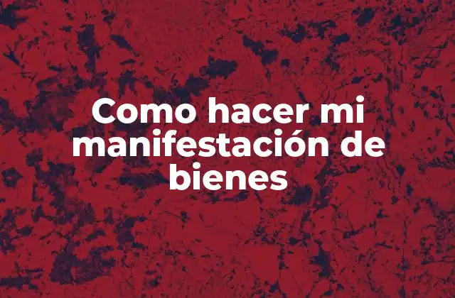 Como Hacer Mi Manifestación de Bienes