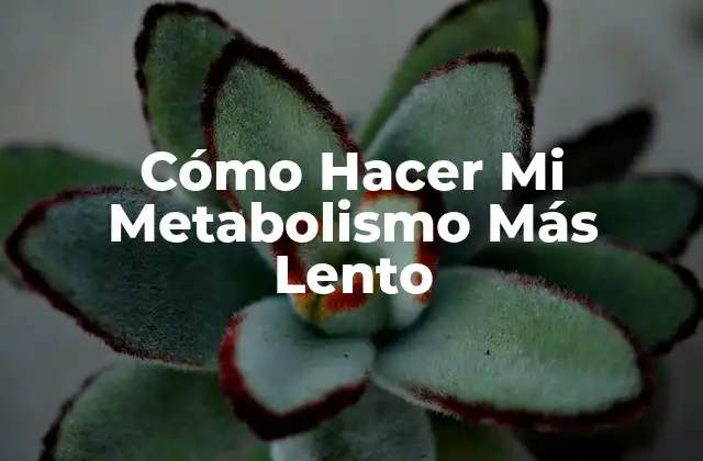 ¿Qué es el Metabolismo y Cómo Afecta tu Salud?