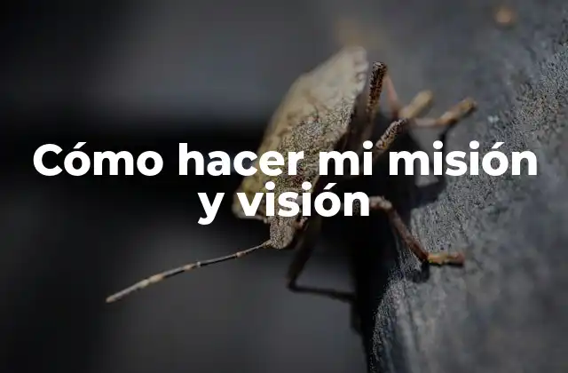 Cómo hacer mi misión y visión