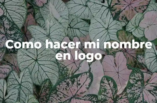 Como Hacer Mi Nombre en Logo