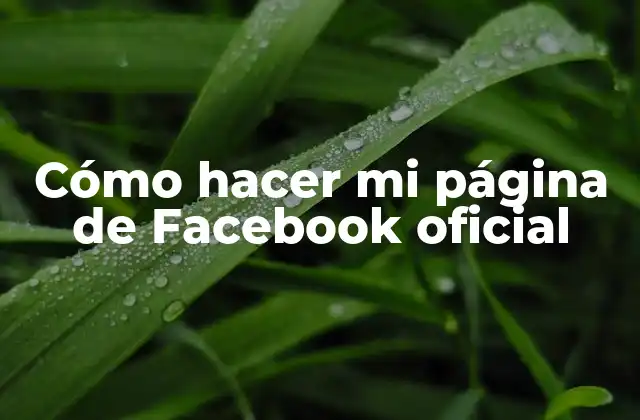 Cómo Hacer Mi Página de Facebook Oficial