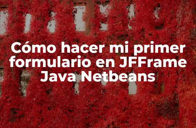 Cómo Hacer Mi Primer Formulario en Jfframe Java Netbeans 2 ¿Qué es JFFrame y para qué sirve?