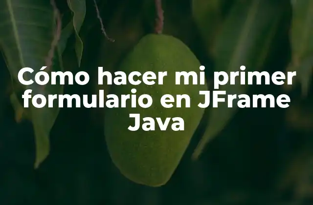 Cómo Hacer Mi Primer Formulario en Jframe Java